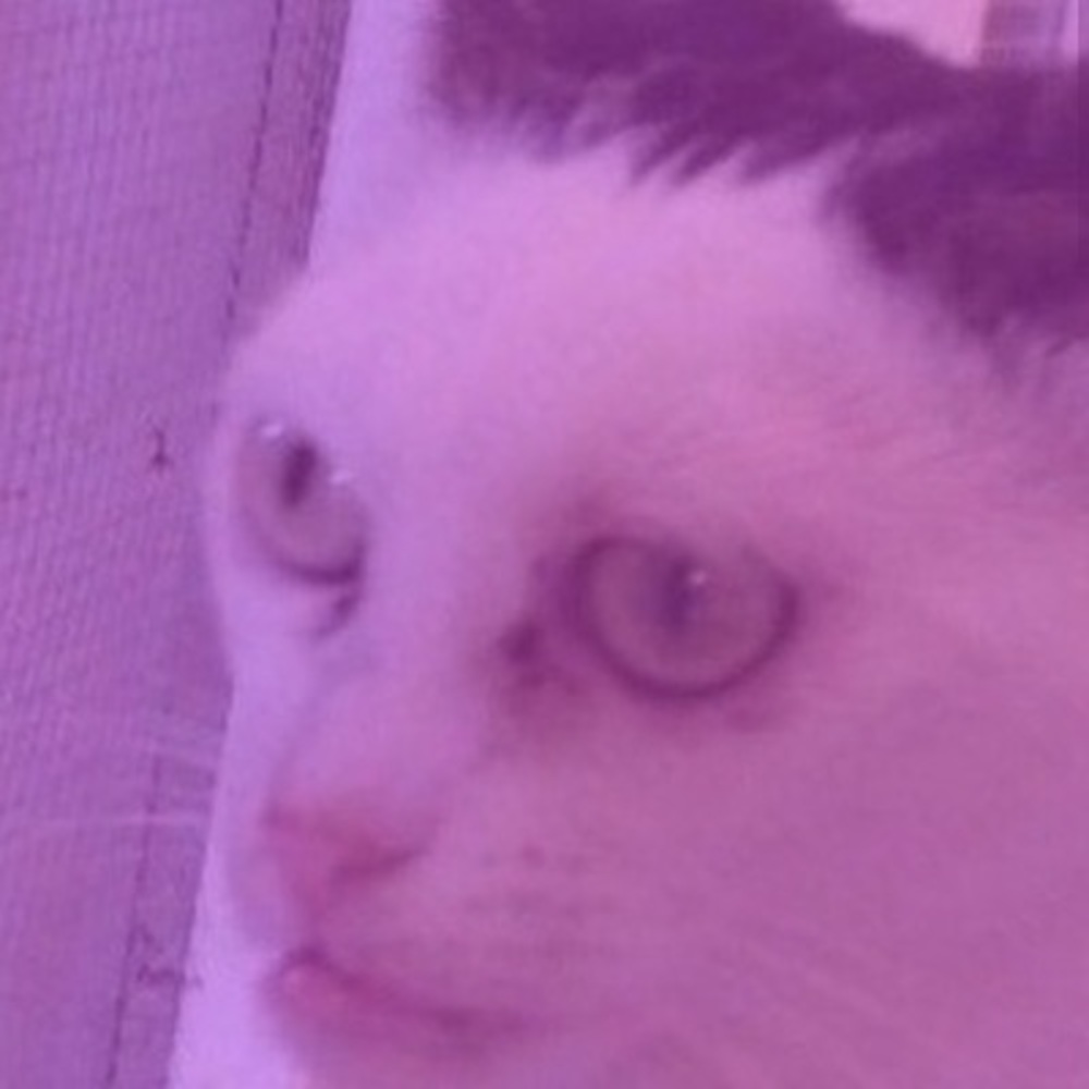 Meet your Posher, Mirandanda